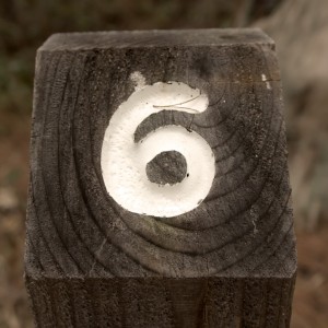 Nature's_Number_6 madera